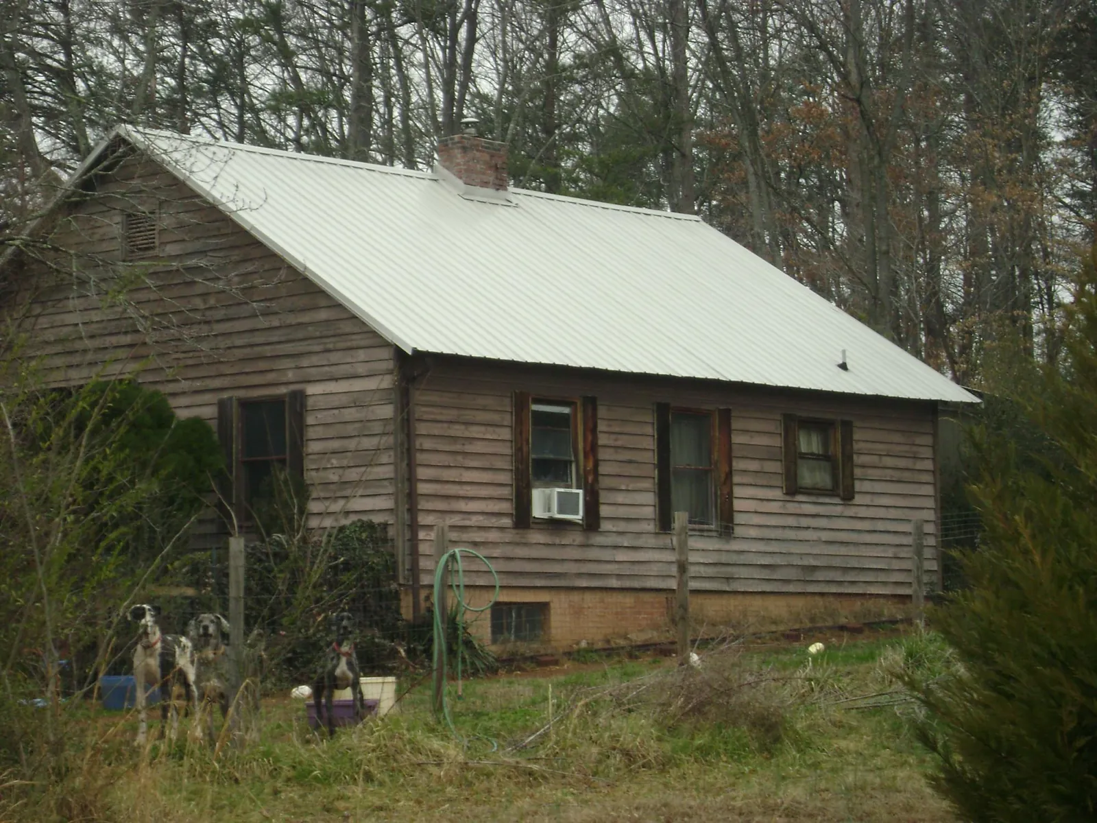White metal roof on an old wood sided farmhouse, from a Asphalt Shingle Roof Repair job in Potomac